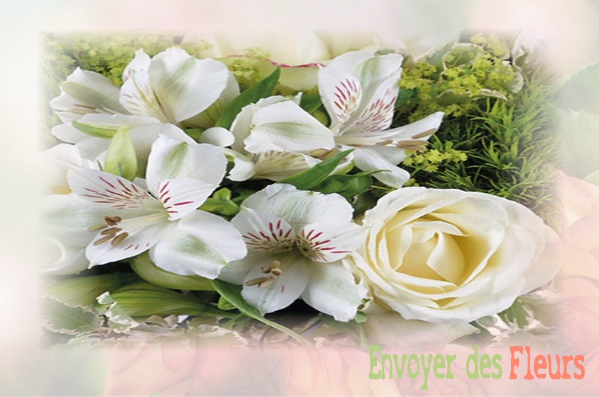 envoyer des fleurs à à SAINT-HILAIRE-DE-GONDILLY